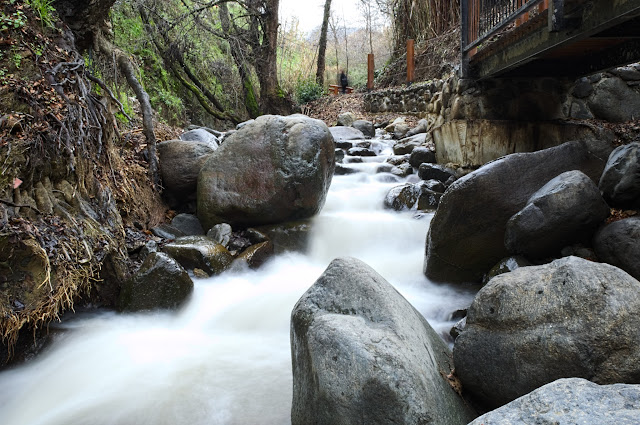 River next to Kakopetria village, in mountain Troodos, Cyprus.