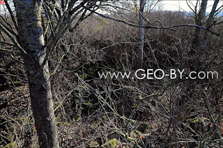 The second Polish bunker near Soczewki (ruins)