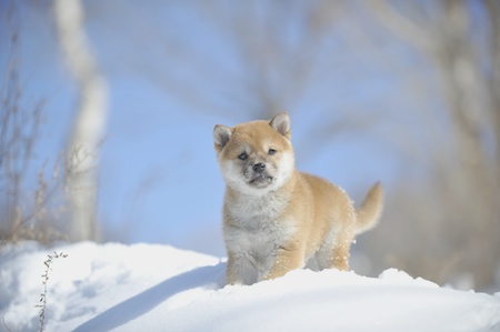 20120221-D3X_9582.jpg