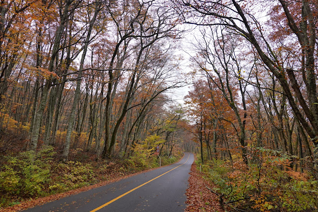 鳥取県道45号倉吉江府溝口線（大山環状道路）