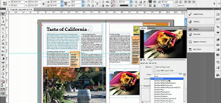 Portable Adobe Indesign Cs 5 Screen Shot 1