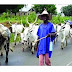 Youths stop herdsmen migration to Kwara community