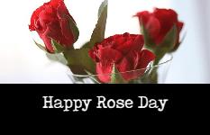 Happy Rose Day