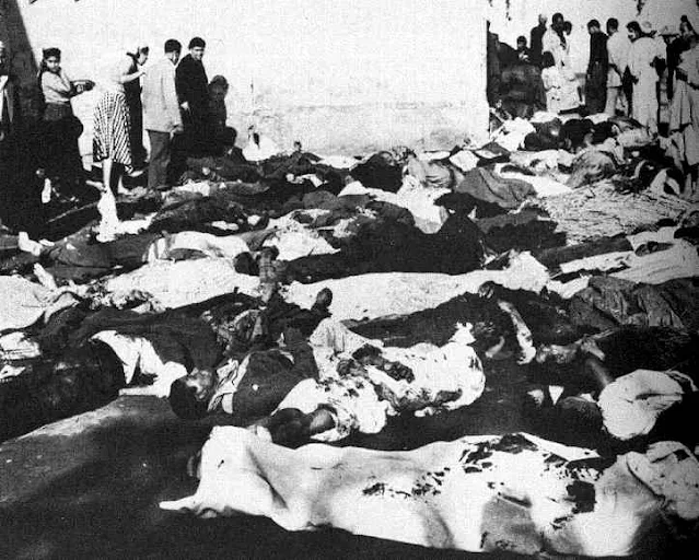 جثث الشهداء فى بورسعيد 1956