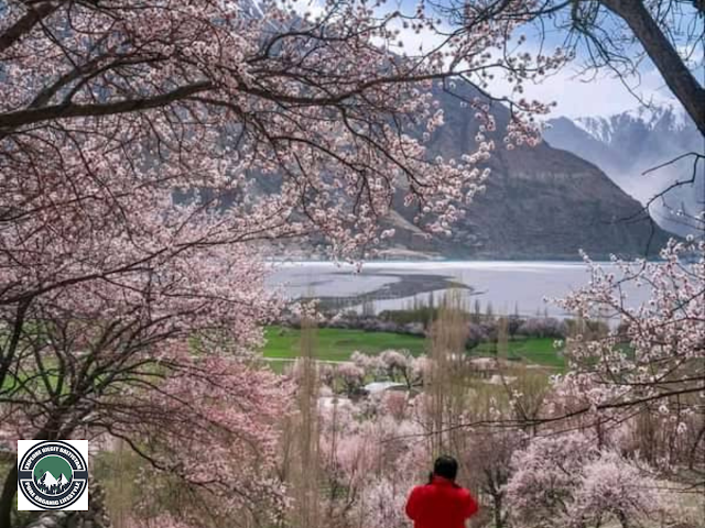 Pictures Gilgit Baltistan during the blossom season