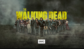 The Walking Dead | The Walking Dead Netflix | Netflix Series