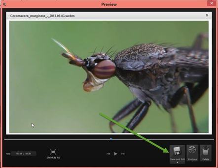 catturare-schermo-camtasia-studio-8