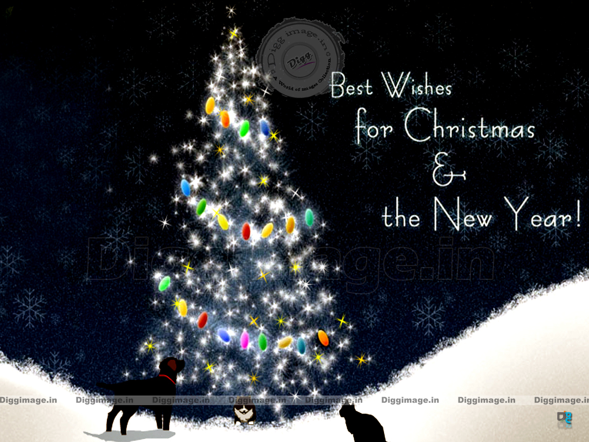 Best Wishes for Christmas & The New Year..! 2012 greetings with a nice