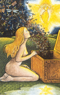 Tarot The Star