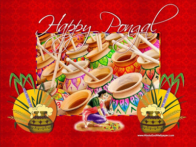 Pongal Wallpapers,Pongal Freetings Pictures,Pongal Images