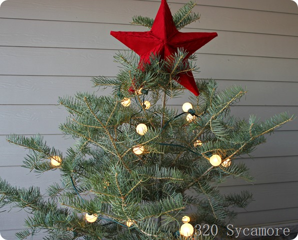 tree with globe lights