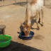 Snippets from Magozi