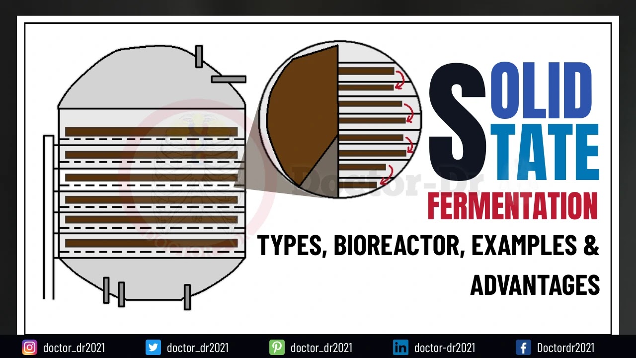 Solid State Fermentation (SSF): Process, Types, Organisms, Applications, and Limitations