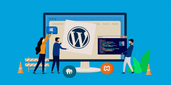 Guía básica antes de comenzar en WordPress