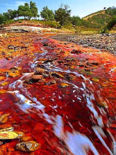Dòng sông máu kỳ lạ ở Tây Ban Nha
