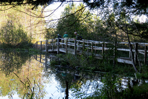 bridge over beaver dam