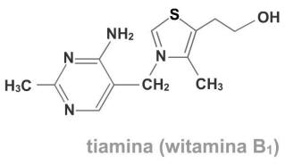 O Witaminach Z Grupy B Słów Kilka Witamina B1 Concordiaa