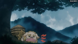 ワンピース アニメ 1078話 ONE PIECE Episode 1078