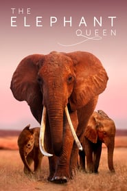 Se Film The Elephant Queen 2019 Streame Online Gratis Norske