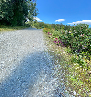 gravel paths at the Arctic Alpine Botanical Garden in Tromso, Norway