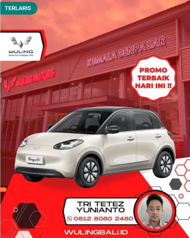 Wuling Binguo EV