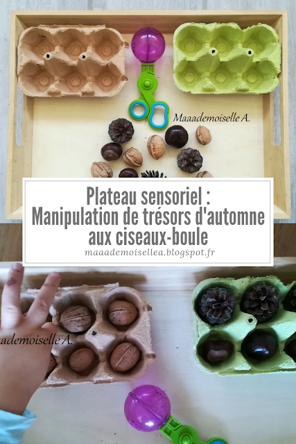 || Plateau sensoriel : Manipulation de trésors d'automne aux ciseaux-boule