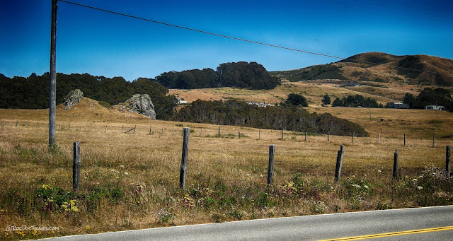 northern California coast geology travel field trip copyright RocDocTravel.com