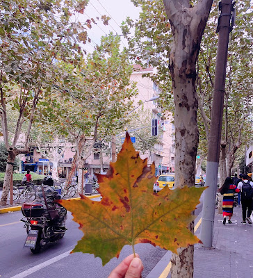 autumn in shanghai