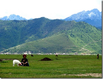 tibet__monti