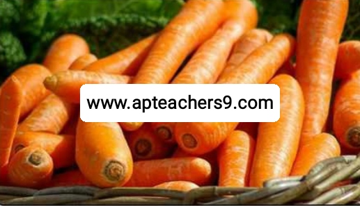 Protect skin with carrots : క్యారెట్లతో చర్మాన్ని సంరక్షించుకోండిలా 2022@APTeachers  how to use carrot for skin whitening carrot extract skin benefits carrot for skin care 10 benefits of carrot for skin carrots skin eating raw carrot benefits for skin carrot juice on face overnight carrot face pack for pigmentation coriander leaf benefits coriander medicinal uses coriander leaves boiled water benefits coriander benefits and side effects coriander benefits for skin benefits of coriander leaves for hair coriander for males how to make coriander water is smoking sugar harmful sugar vs cigarettes deaths is sugar more dangerous than alcohol and tobacco is it harder to quit smoking or sugar similarities between sugar and tobacco it is known to many that for health smoking is but consumption of sugar is equally bad sugar is as bad for you as cigarettes meaning in tamil smoking sugar in a pipe 17 benefits of mustard seed 5 uses of mustard 10 uses of mustard how much mustard should i eat a day benefits of chewing mustard seed mustard seeds side effects dijon mustard health benefits benefits of yellow mustard how much black pepper per day for weight loss how to use black pepper for weight loss lemon and black pepper for weight loss does black pepper help in weight loss cinnamon and black pepper for weight loss curd with black pepper for weight loss how to make black pepper tea for weight loss black pepper weight gain precautions to be taken during winter season how to stay healthy during winter season precautions for winter season in india how to protect your body in winter season winter safety tips for employees safety tips for winter season winter health problems health tips for winter 2021 pumpkin benefits side effects green pumpkin benefits pumpkin seeds benefits for female is pumpkin good for digestion pumpkin benefits for skin is pumpkin good for weight loss how to eat pumpkin benefits of pumpkin soup green peas benefits green peas side effects yellow matar benefits dry matar benefits white matar benefits green peas protein green peas contains benefits of matar in hindi list foods to avoid kidney stones how to dissolve kidney stones list of foods that cause kidney stones how to avoid kidney stones kidney stone diet chart supplements to prevent kidney stones vegetables to avoid for kidney stones what causes kidney stones best time to drink fruit juice in a day best time to drink juice for weight loss best time to drink mosambi juice when is the best time to juice morning or night best time to drink juice for glowing skin best time to drink juice for weight gain best time to drink orange juice in a day what is the best time to drink vegetable juice why does my bottom lip split in the middle dry lips vitamin deficiency cracked lips causes can chapped lips be a sign of something serious chapped lips meaning dry cracked lips that won't heal why are my lips so dry even when i drink water how to cure chapped lips fast winter foods list vegetables to eat in winter in india top 10 winter foods what to eat in winter to keep warm best food to eat in winter in india fruits to avoid in winter avoid food in winter season what we eat and drink in winter season how to protect child from cold weather how to keep your family healthy during winter 5 ways to stay safe in the snow winter health tips for students what to do with baby on cold day safety tips for winter season winter safety tips 2021 wintercare for kids disadvantages of matka water earthen pot water side effects drinking water from clay pot benefits benefits of matka water benefits of matka water for skin how earthen pots help in purifying water how to clean clay pots for drinking water clay pot water ph level how to cure gerd permanently high stomach acid symptoms gerd foods to avoid what fruit is good for acid reflux foods that reduce stomach acid how to get rid of acid reflux in throat fast what to drink for acid reflux 7-day acid reflux diet pdf focal hyperhidrosis how to stop excessive sweating all over body naturally how to stop sweating on face how i cured my hyperhidrosis how to stop sweating underarms naturally how to stop underarm sweating permanently what is excessive sweating a sign of products to stop armpit sweating what comes out during a colon cleanse how to clean out bowels quickly 1 day colon cleanse overnight colon cleanse colon cleanse weight loss results best colon cleanse drink how often should you cleanse your colon colon cleanse pills is taking a bath late at night dangerous late night shower can cause death advantages and disadvantages of taking a bath at night benefits of showering at night vs morning taking a bath at night can cause anemia benefits of showering in the morning can taking a shower at night cause a stroke does taking a bath at night lowers blood pressure what foods help repair kidneys how can i improve my kidney function naturally how to keep kidneys healthy foods to avoid for kidney health healthy kidneys signs how to check your kidney health at home best exercise for kidney health can kidneys heal side effects of drinking cold water disadvantages of drinking cold water in the morning does drinking cold water increase weight effect of cold water on male is cold water bad for your kidneys drinking cold water in the morning on an empty stomach is drinking cold water bad for your heart effect of cold water on bones how to make fenugreek water fenugreek water for hair fenugreek seeds soaked in water overnight side effects how to drink fenugreek water fenugreek water for weight loss fenugreek water side effects fenugreek water for periods boiled fenugreek water benefits  hair loss treatment which vitamin deficiency causes hair loss hair loss causes best hair loss treatment female hair loss treatment reason of hair fall in female hair loss women hair fall reasons in male mediterranean diet recipes mediterranean diet food list mediterranean diet 7-day meal plan pdf mediterranean diet weight loss how to start mediterranean diet mediterranean diet breakfast mediterranean diet pdf mediterranean diet for men black rice benefits black rice in india black rice side effects black rice price black rice recipe black rice near me black rice calories black rice protein organ donation time limit after death organ donation registration organ donation registration india 3 reasons why organ donation is important organ donation india how to donate organs after death organ donation rules reasons why you shouldn't be an organ donor Keto diet plan free PDF 7-day keto meal plan pdf Keto diet plan Indian Women's keto diet plan free Keto food list Female keto diet plan PDF 30 day ketogenic diet plan pdf free Keto diet plan for beginners Epileptic seizure Epilepsy attack Epilepsy definition Can epilepsy be cured Types of epilepsy Epilepsy cause Types of epilepsy and symptoms Fits disease what is the most important vitamin for your body daily intake of vitamins and minerals chart types of vitamins and their functions what vitamins do i need daily what are vitamins what are the 13 types of vitamins essential vitamins and minerals what are essential vitamins how to use a cooler as a fridge can we use air cooler without water how to use air cooler with water how to use air cooler in closed room how to use air cooler effectively uses of air cooler air cooler hacks how to use air cooler with ice how long is water safe in plastic bottles? Side effects of drinking water in plastic bottles which plastic bottles are safe for drinking water? Harmful effects of plastic water bottles on humans How to avoid drinking water from plastic bottles Plastic bottle poisoning symptoms How many times can you reuse a plastic water bottle Why you should not reuse plastic water bottles benefits of squeezing lemon on food what happens when you drink lemon water for 7 days disadvantages of drinking lemon water daily side effects of lemon for female what are the benefits of drinking lemon water benefits of lemon lemon side effects lemon benefits and side effects coconut water benefits for female benefits of drinking coconut water daily coconut water side effects drinking coconut water for 7 days benefits of coconut water for skin what happens if i drink coconut water everyday benefits of drinking coconut water empty stomach Disadvantages of storing water in copper vessel How much copper water to drink per day Copper water bottle poisoning Copper water benefits for skin whitening Pros and cons of drinking copper water Benefits of copper water Copper water Bottle Benefits of copper water Ayurveda 10 reasons to wake up in the morning 10 benefits of early rising what is the best time to wake up early in the morning why should we wake up early in the morning benefits of waking up early in the morning essay benefits of waking up before sunrise disadvantages of waking up early scientific benefits of waking up early fermented rice side effects pazhankanji side effects is fermented rice water acidic or alkaline fermented rice for weight gain fermented rice benefits benefits of eating rice in the morning fermented rice with curd benefits fermented rice for acid reflux taati munjalu in english taati munjalu season ice apple benefits taati munjalu near me taati munjalu during pregnancy taati munjalu in hindi taati munjalu in telugu ice apple benefits and side effects how to lose weight in 7 days fastest way to lose weight for woman how to lose weight naturally how to lose weight fast weight loss tips extreme weight loss methods weight loss tips at home how to lose weight in a week skin care tips in summer at home summer night skin care routine top 10 skin care tips for summer summer skin care routine summer skin care routine for teenage girl skin care tips for summer in india summer skin care products how to take care of oily skin in summer naturally why do mosquitoes bite me and not my husband how to be less attractive to mosquitoes mosquitoes don't bite cancer why do mosquitoes like type o blood why do i get so many mosquito bites on my legs are mosquitoes attracted to carbon dioxide why are mosquitoes attracted to me why do mosquitoes bite ankles pumpkin benefits side effects benefits of pumpkin soup is pumpkin good for digestion pumpkin benefits for skin benefits of green pumpkin is pumpkin good for weight loss pumpkin seeds benefits for female how to eat pumpkin benefits of sugarcane sexually sugarcane juice benefits for female sugarcane juice benefits and disadvantages benefits of sugarcane juice sugarcane juice is heat or cold for body benefits of sugarcane to woman sugarcane juice disadvantages benefits of sugarcane juice for weight loss side effects of tea on bones is green tea harmful for bones what kind of tea is good for osteoporosis is black tea good for bones tea and calcium absorption tea and osteoporosis is ginger tea good for osteoporosis green tea and calcium absorption spiritual benefits of walking barefoot 5 health benefits of walking barefoot benefits of walking barefoot on earth disadvantages of walking barefoot benefits of walking barefoot at home walking barefoot meaning benefits of walking barefoot on grass in the morning effects of walking barefoot on cold floor why hot food items should not be packed in polythene bags effects of eating high temperature food hot food in polythene bags 2 ways to never cool food hot food in plastic bags can cause cancer what happens if you drink hot and cold at the same time proper cooling methods for food what are three safe methods for cooling food? benefits of eating porridge everyday porridge benefits for skin benefits of eating porridge in the morning i ate oatmeal every morning for a month-here's what happened disadvantages of eating oats benefits of porridge for weight loss benefits of oats with milk benefits of eating porridge at night is taking a bath late at night dangerous bathing at night benefits taking a bath at night can cause anemia late night shower can cause death best time to bath at night advantages and disadvantages of taking a bath at night benefits of warm bath at night taking a bath at night is not good for your health brainly describe how we can keep ourselves fit and healthy simple health tips 10 tips for good health 100 health tips natural health tips health tips for adults health tips 2021 health tips of the day simple health tips for everyday living healthy tips simple health tips for students 100 simple health tips healthy lifestyle tips health tip of the week simple health tips for everyone simple health tips for everyday living 10 tips for a healthy lifestyle pdf 20 ways to stay healthy 5-minute health tips 100 health tips in hindi simple health tips for everyone 100 health tips pdf 100 health tips in tamil 5 tips to improve health natural health tips for weight loss natural health tips in hindi simple health tips for everyday living 100 health tips in hindi health in hindi daily health tips 10 tips for good health how to keep healthy body 20 health tips for 2021 health tips 2022 mental health tips 2021 heart health tips 2021 health and wellness tips 2021 health tips of the day for students fun health tips of the day mental health tips of the day healthy lifestyle tips for students health tips for women simple health tips 10 tips for good health 100 health tips healthy tips in hindi natural health tips health tips for students simple health tips for everyday living health tip of the week healthy tips for school students health tips for primary school students health tips for students pdf daily health tips for school students health tips for students during online classes mental health tips for students simple health tips for everyone health tips for covid-19 healthy lifestyle tips for students 10 tips for a healthy lifestyle healthy lifestyle facts healthy tips 10 tips for good health simple health tips health tips 2021 health tips natural health tips 100 health tips health tips for students simple health tips for everyday living 6 basic rules for good health 10 ways to keep your body healthy health tips for students simple health tips for everyone 5 steps to a healthy lifestyle maintaining a healthy lifestyle healthy lifestyle guidelines includes simple health tips for everyday living healthy lifestyle tips for students healthy lifestyle examples 10 ways to stay healthy 100 health tips 5 ways to stay healthy 10 ways to stay healthy and fit simple health tips simple health tips for everyday living health tips for students health tips in hindi beauty tips health tips for women health tips bangla health tips for young ladies 10 best health tips female reproductive health tips women's day health tips health tips in kannada women's health tips for heart, mind and body women's health tips for losing weight healthy woman body beauty tips at home beauty tips natural beauty tips for face beauty tips for girls beauty tips for skin beauty tips of the day top 10 beauty tips beauty tips hindi health tips for school students health tips for students during exams five ways of maintaining good health 10 ways to stay healthy at home ways to keep fit and healthy 6 tips to stay fit and healthy how to stay fit and healthy at home 20 ways to stay healthy ways to keep fit and healthy essay 5 ways to stay healthy essay 10 ways to stay healthy at home write five points to keep yourself healthy 5 ways to stay healthy during quarantine 10 tips for a healthy lifestyle healthy lifestyle essay unhealthy lifestyle examples 5 steps to a healthy lifestyle healthy lifestyle article for students talk about healthy lifestyle healthy lifestyle benefits healthy lifestyle for students in school healthy tips for school students importance of healthy lifestyle for students health tips for students during online classes health tips for students pdf health and wellness for students healthy lifestyle for students essay healthy lifestyle article for students 10 ways to stay healthy and fit ways to keep fit and healthy essay 6 tips to stay fit and healthy how to stay fit and healthy at home what are the best ways for students to stay fit and healthy how to keep body fit and strong on the basis of the picture given below,  how to be fit in 1 week write 10 rules for good health golden rules for good health health rules most important things you can do for your health how to keep your body healthy and strong five ways of maintaining good health mental health tips 2022 top 10 tips to maintain your mental health mental health tips for students self-care tips for mental health mental health 2022 fun activities to improve mental health 10 ways to prevent mental illness how to be mentally healthy and happy world heart day theme 2021 world heart day 2021 health tips news world heart day wikipedia world heart day 2020 world heart day pictures world heart day theme 2020 happy heart day 5 ways to prevent covid-19 best food for covid-19 recovery 10 ways to prevent covid-19 covid-19 health and safety protocols precautions to be taken for covid-19 covid-19 diet plan pdf safety measures after covid-19 precautions for covid-19 patient at home how to keep reproductive system healthy 10 ways in keeping the reproductive organs clean and healthy why is it important to keep your reproductive system healthy how to take care of your reproductive system male what are the proper ways of taking care of the female reproductive organs male ways of taking care of reproductive system ppt taking care of reproductive system grade 5 prevention of reproductive system diseases proper ways of taking care of the reproductive organs ways of taking care of reproductive system ppt how to take care of reproductive system male what are the proper ways of taking care of the female reproductive organs care of male and female reproductive organs? why is it important to take care of the reproductive organs the following are health habits to keep the reproductive organs healthy which one is care of male and female reproductive organs? what are the proper ways of taking care of the female reproductive organs ways of taking care of reproductive system ppt ways to take care of your reproductive system why is it important to take care of the reproductive organs taking care of reproductive system grade 5 how to take care of your reproductive system poster what are the proper ways of taking care of the female reproductive organs taking care of reproductive system grade 5 what are the proper ways of taking care of the male reproductive organs care of male and female reproductive organs? female reproductive system - ppt presentation female reproductive system ppt pdf reproductive system ppt anatomy and physiology reproductive system ppt grade 5 talk about healthy lifestyle cue card importance of healthy lifestyle importance of healthy lifestyle speech what is healthy lifestyle essay healthy lifestyle habits my healthy lifestyle healthy lifestyle essay 100 words healthy lifestyle short essay healthy lifestyle essay 150 words healthy lifestyle essay pdf benefits of a healthy lifestyle essay healthy lifestyle essay 500 words healthy lifestyle essay 250 words  precautions to be taken during winter season precautions to be taken for cold cold weather precautions for home how to stay healthy during winter season how to protect your body in winter season what things should we keep in mind to stay healthy in the winter  safety tips for winter season in india how to take care of yourself during winter seasonal diseases list seasonal diseases in india seasonal diseases and precautions seasonal diseases in telugu seasonal diseases in india pdf seasonal diseases pdf 4 seasonal diseases rainy season diseases and prevention 10 things not to do after eating i ate too much and now i want to vomit how to ease your stomach after eating too much how to digest faster after a heavy meal what to do after overeating at night how to detox after eating too much i ate too much today will i gain weight i don't feel good after i eat calcium fruits for bones fruits for bone strength how to increase bone strength naturally bone strengthening foods how to increase bone calcium best fruit juice for bones calcium-rich foods for bones vitamins for strong bones and joints black pepper uses and benefits how much black pepper per day benefits of eating black pepper empty stomach black pepper with hot water benefits side effects of black pepper benefits of black pepper and honey pepper benefits turmeric with black pepper benefits how to protect eyes from mobile screen naturally how to protect eyes from mobile screen during online classes glasses to protect eyes from mobile screen how to protect eyes from mobile and computer 5 ways to protect your eyes best eye protection mobile phone glasses to protect eyes from mobile screen flipkart how to protect eyes from computer screen can you die from eating too many almonds how many is too many almonds i eat 100 almonds a day symptoms of eating too many almonds almond skin dangers how many almonds should i eat a day why are roasted almonds bad for you how many almonds to eat per day for good skin amla for skin whitening amla for skin pigmentation how to use amla for skin can i apply amla juice on face overnight how to use amla powder for skin whitening amla face pack for pigmentation how to make amla juice for skin best amla juice for skin best n95 mask for covid n95 mask with filter n95 mask reusable best mask for covid where to buy n95 mask n95 mask price 3m n95 mask kn95 vs n95 how many dates to eat per day dates benefits sexually dates benefits for sperm benefits of dates for men benefits of khajoor for skin dates benefits for skin is dates good for cold and cough benefits of dates for womens how to cook mulberry leaves mulberry benefits mulberry leaves benefits for hair mulberry benefits for skin when to harvest mulberry leaves mulberry leaf extract benefits mulberry leaf tea benefits mulberry fruit side effects are recovered persons with persistent positive test of covid-19 infectious to others? if someone in your house has covid will you get it do i still need to quarantine for 14 days if i was around someone who has covid-19? how long will you test positive for covid after recovery what do i do if i’ve been exposed to someone who tested positive for covid-19? how long does coronavirus last in your system how long should i stay in home isolation if i have the coronavirus disease? positive covid test after recovery how to make coriander water can we drink coriander water at night how to make coriander water for weight loss coriander seed water side effects how to make coriander seeds water how to make coriander seeds water for thyroid coriander water for thyroid coriander leaves boiled water benefits 10 points on harmful effects of plastic 5 harmful effects of plastic harmful effects of plastic on environment harmful effects of plastic on environment in points how is plastic harmful to humans harmful effects of plastic on environment pdf single-use plastic effects on environment brinjal benefits and side effects disadvantages of brinjal brinjal benefits for skin brinjal benefits ayurveda brinjal benefits for diabetes uses of brinjal green brinjal benefits brinjal vitamins 10 ways to keep your heart healthy 5 ways to keep your heart healthy 13 rules for a healthy heart 20 ways to keep your heart healthy how to keep heart-healthy and strong heart-healthy foods heart-healthy lifestyle healthy heart symptoms daily massage with mustard oil mustard oil disadvantages benefits of mustard oil for skin why mustard oil is not banned in india benefits of mustard oil massage on feet benefits of mustard oil in cooking mustard oil massage benefits mustard oil benefits for brain side effects of mint leaves lungs cleaning treatment benefits of drinking mint water in morning mint leaves steam for face lungs cleaning treatment for smokers benefits of mint leaves how to use ginger for lungs how to clean lungs in 3 days Carrot juice benefits in telugu 17 benefits of mustard seed 5 uses of mustard 10 uses of mustard how much mustard should i eat a day mustard seeds side effects benefits of chewing mustard seed dijon mustard health benefits is mustard good for your stomach Benefits of Vaseline on face Vaseline on face overnight before and after Vaseline petroleum jelly for skin whitening 100 uses for Vaseline Does Blue Seal Vaseline lighten the skin Vaseline uses for skin 19 unusual uses for Vaseline Effect of petroleum jelly on lips barley pests and diseases how to use barley for diabetes diseases of barley ppt how to use barley powder barley benefits and side effects barley disease control barley diseases integrated pest management of barley how to sleep better at night naturally good sleep habits food for good sleep tips on how to sleep through the night how to get a good night sleep and wake up refreshed how to sleep fast in 5 minutes how to sleep through the night without waking up how to sleep peacefully without thinking how to use turmeric to boost immune system turmeric immune booster recipe turmeric immune booster shot raw turmeric vs powder 10 serious side effects of turmeric raw turmeric powder best time to eat raw turmeric raw turmeric benefits for liver best antibiotic for cough and cold name of antibiotics for cough and cold best medicine for cold and cough best antibiotic for cold and cough for child best tablet for cough and cold in india best cold medicine for runny nose cold and cough medicine for adults best cold and flu medicine for adults moringa leaf powder benefits what happens when you drink moringa everyday? side effects of moringa list of 300 diseases moringa cures pdf how to use moringa leaves what sickness can moringa cure how long does it take for moringa to start working can moringa cure chest pain how to use aloe vera to lose weight rubbing aloe vera on stomach how to prepare aloe vera juice for weight loss best time to drink aloe vera juice for weight loss how to use forever aloe vera gel for weight loss aloe vera juice weight loss stories how much aloe vera juice to drink daily for weight loss benefits of eating oranges everyday benefits of eating oranges for skin benefits of eating orange at night orange benefits and side effects benefits of eating orange in empty stomach orange benefits for men how many oranges a day to lose weight how many oranges should i eat a day is orthostatic hypotension dangerous orthostatic hypotension symptoms causes of orthostatic hypotension orthostatic hypotension in 20s orthostatic hypotension treatment orthostatic hypotension test how to prevent orthostatic hypotension orthostatic hypotension treatment in elderly what will happen if we drink dirty water for class 1 what are the diseases associated with water? which water is safe for drinking dangers of tap water 5 dangers of drinking bad water what happens if you drink contaminated water what to do if you drink contaminated water 5 ways to make water safe for drinking how long before bed should you turn off electronics side effects of using phone at night does screen time affect sleep in adults sleeping with phone near head why you shouldn't use your phone before bed screen time before bed research adults screen time doesn't affect sleep using phone at night bad for eyes how many tulsi leaves should be eaten in a day how to cure high blood pressure in 3 minutes tulsi leaves side effects tricks to lower blood pressure instantly what happens if we eat tulsi leaves daily high blood pressure foods to avoid what to drink to lower blood pressure quickly how to consume tulsi leaves why am i sleeping too much all of a sudden i sleep 12 hours a day what is wrong with me oversleeping symptoms causes of oversleeping how to recover from sleeping too much oversleeping effects is 9 hours of sleep too much why am i suddenly sleeping for 10 hours side effects of eating raw curry leaves how many curry leaves to eat per day benefits of curry leaves for hair curry leaves health benefits benefits of curry leaves boiled water curry leaves benefits and side effects how to eat curry leaves curry leaves benefits for uterus side effects of drinking cold water symptoms of drinking too much water does drinking cold water cause cold drinking cold water in the morning on an empty stomach does drinking cold water increase weight disadvantages of drinking cold water in the morning is drinking cold water bad for your heart effect of cold water on bones food for strong bones and muscles indian food for strong bones and muscles list five foods you can eat to build strong, healthy bones. medicine for strong bones and joints 2 factors that keep bones healthy Top 10 health benefits of dates Health benefits of dates Dry dates benefits for male Soaked dates benefits Dry dates benefits for female silver water benefits how much colloidal silver to purify water silver in water purification silver in drinking water health benefit of drinking hard water what is silver water silver ion water purifier colloidal silver poisoning how i cured my lower back pain at home how to relieve back pain fast how to cure back pain fast at home back pain home remedies drink how to cure upper back pain fast at home female lower back pain treatment what is the best medicine for lower back pain? one stretch to relieve back pain side effects of drinking salt water why is drinking salt water harmful benefits of drinking warm water with salt in the morning benefits of drinking salt water salt water flush didn't make me poop himalayan salt detox side effects when to eat after salt water flush 10 uses of salt water side effects of carbonated drinks harmful effects of soft drinks wikipedia disadvantages of soft drinks in points drinking too much pepsi symptoms drinking too much coke side effects effects of carbonated drinks on the body side effects of drinking coca-cola everyday harmful effects of soft drinks on human body pdf what happens if you don't breastfeed your baby baby feeding mother milk breastfeeding mother 14 risks of formula feeding is bottle feeding safe for newborn baby negative effects of formula feeding are formula-fed babies healthy breastfeeding vs bottle feeding breast milk what is the best cream for deep wrinkles around the mouth best anti aging cream 2021 scientifically proven anti aging products best anti aging cream for 40s what is the best wrinkle cream on the market? best anti aging cream for 30s best treatment for wrinkles on face best anti aging skin care products for 50s carbonated soft drinks market demand for soft drinks trends in carbonated soft drink industry carbonated soft drink market in india cold drink sales statistics soft drink sales 2021 soda industry market share of soft drinks in india 2021 how much tomato to eat per day 10 benefits of tomato eating tomato everyday benefits benefits of eating raw tomatoes in the morning disadvantages of eating tomatoes why are tomatoes bad for your gut eating tomato everyday for skin disadvantages of eating raw tomatoes green peas benefits for skin green peas benefits for weight loss green peas side effects green peas benefits for hair benefits of peas and carrots green peas calories green peas protein per 100g dry peas benefits benefits of walnuts for females benefits of walnuts for skin benefits of walnuts for male 15 proven health benefits of walnuts benefits of almonds how many walnuts to eat per day walnut benefits for sperm soaked walnuts benefits 5 health benefits of walking barefoot spiritual benefits of walking barefoot dangers of walking barefoot benefits of walking barefoot at home disadvantages of walking barefoot is walking barefoot at home bad benefits of walking barefoot on grass in the morning walking barefoot meaning how to cure asthma forever how to prevent asthma how to prevent asthma attacks at night asthma prevention diet what causes asthma how to stop asthmatic cough what is the best treatment for asthma how to avoid asthma triggers at home amaranth leaves side effects thotakura juice benefits thotakura benefits in telugu amaranth benefits amaranth benefits for skin amaranth benefits for hair red amaranth leaves side effects amaranth leaves iron content skin diseases list with pictures 5 ways of preventing skin diseases 10 skin diseases blood test for hair loss female symptoms of skin diseases common skin diseases hair loss after covid treatment and vitamins what do dermatologists prescribe for hair loss pomegranate benefits for female benefits of pomegranate for skin benefits of pomegranate seeds pomegranate benefits for men benefits of pomegranate juice how much pomegranate juice per day pomegranate juice side effects benefits of pomegranate leaves disadvantages of jaggery 33 health benefits of jaggery how much jaggery to eat everyday benefits of jaggery water vitamins in jaggery dark brown jaggery benefits jaggery benefits for sperm jaggery benefits for male                                                                                                                                                                                                mini oil mill project cost cooking oil manufacturing plant cost in india small oil mill plant cost in india oil mill project cost in india cooking oil manufacturing business plan pdf oil mill business profit how to start cooking oil business in india oil mill business plan in india