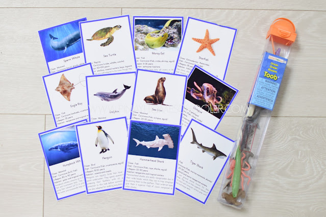 Ocean Safari Toobs Montessori Cards