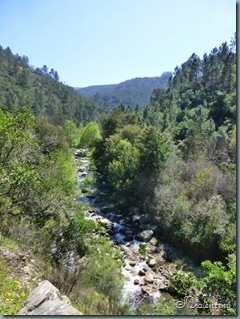 P1020470
