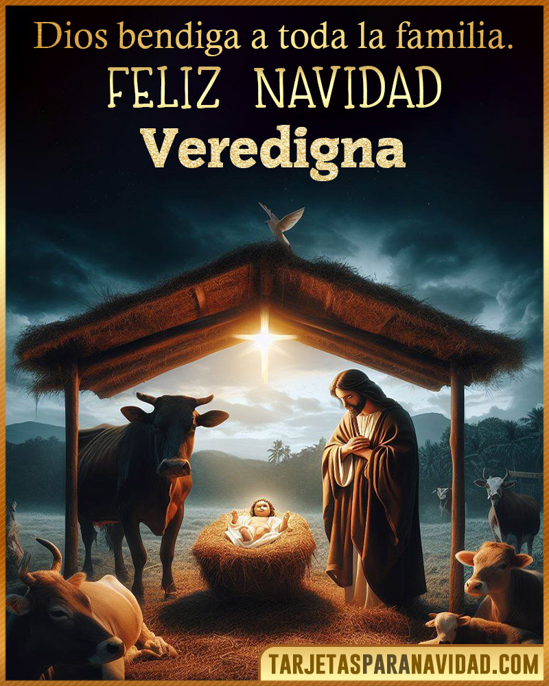 Feliz Navidad Veredigna