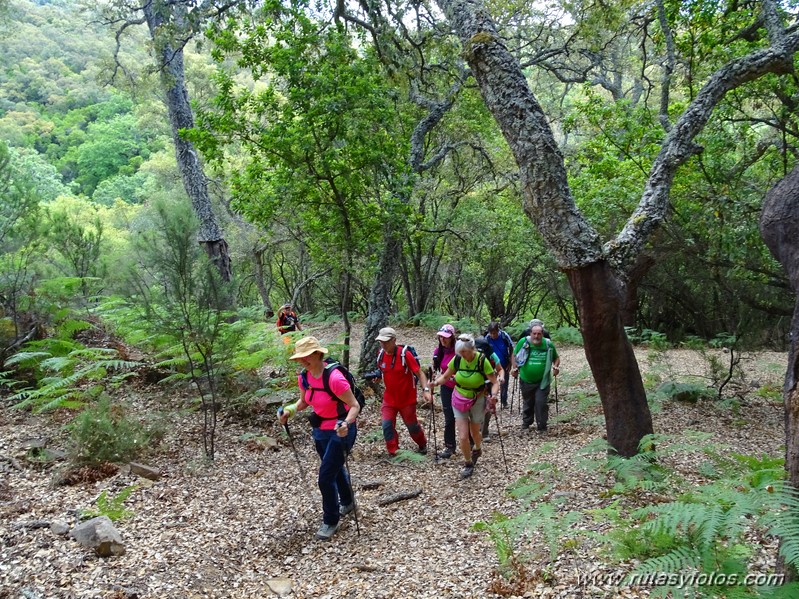 El Colmenar - Camino de los Arrieros - Puerto de los Peñones - Puerto de la Venta - Garganta de Los Charcones