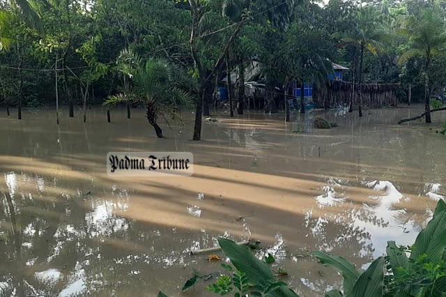 ধনিয়া-শিবপুরে বাঁধের বাইরে ৭০০ পরিবার পানিবন্দি
