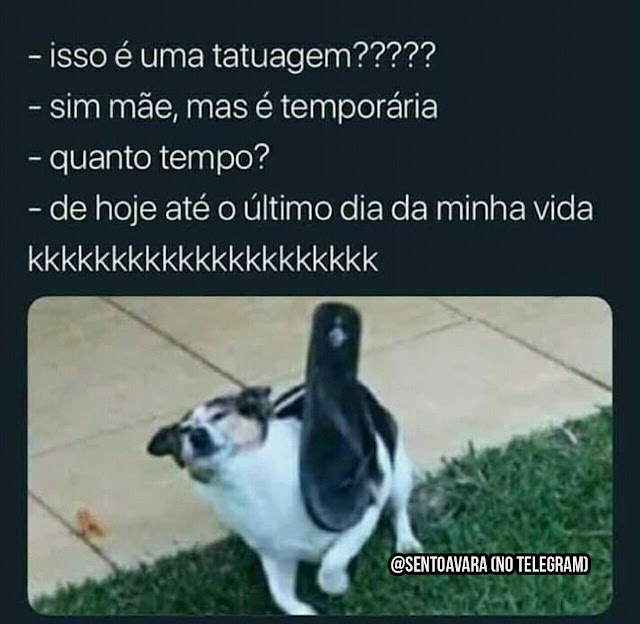 Memes engraçados 