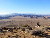 View northwest from Ryan Mountain summit, Joshua Tree National Park