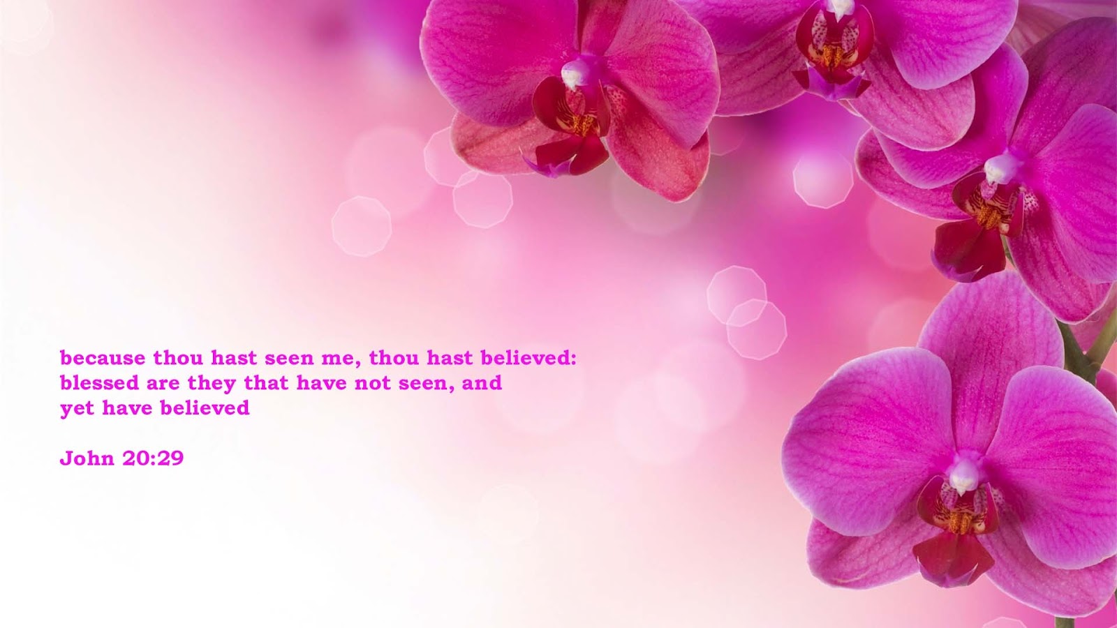 Bible Verses Flower Pictures Wallpaper Godwallpaper