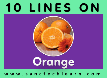 short essay on Orange