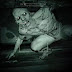 Объявлена дата выхода хоррора Outlast