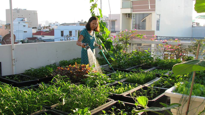 Mảnh vườn sân thượng 25m2 của mẹ cung cấp rau cho nhà 7 người ăn thoải mái