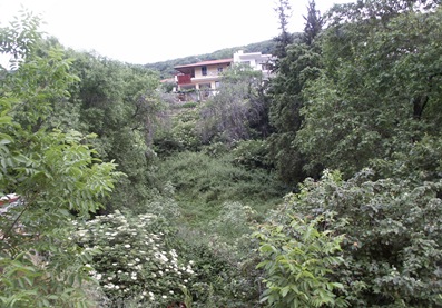 27-5 Βρυσούλα , μονοπάτια 003