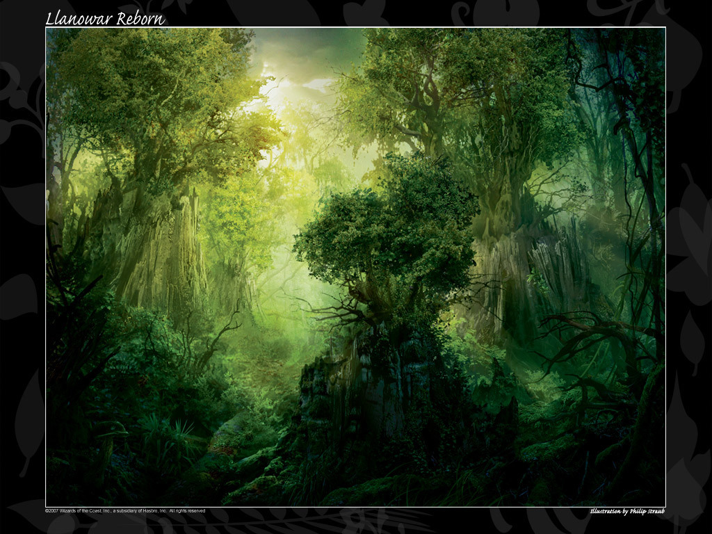 https://blogger.googleusercontent.com/img/b/R29vZ2xl/AVvXsEgBkWx1sqAzDwiB8FJWdjDKegHbGawjFzosorxPMn1oXGARczZ7fFk2xvMAeIFGCJo77hWRqKv5DzOA19iSVKsERulQF0JdOis2CbOwq6EHvqCTKGgLqT8o5M6TwCbG0jny6NY7ooQrHMU/s1600/enchanted-forest-t5-woods.jpg
