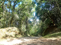 Parque Estadual da Cantareira em São Paulo