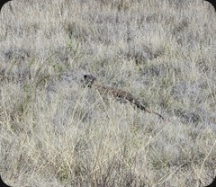 IMG_1913