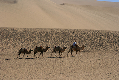 Camel Ride on Sand Dunes Rajasthan Tours