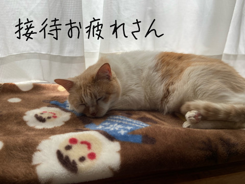 接待お疲れ様