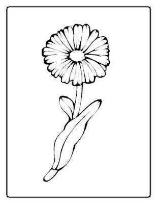 flowers coloring pages