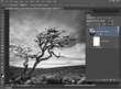Professional Photoshop