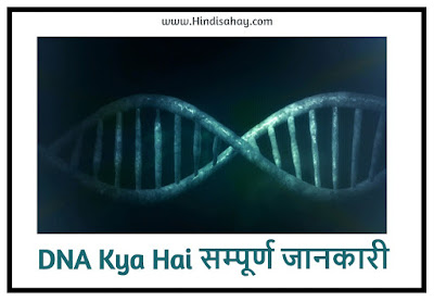 DNA Kya Hai? - डीएनए का कार्य , फुल फॉर्म , तथ्य और खोजकर्ता के बारेमे सम्पूर्ण जानकारी 